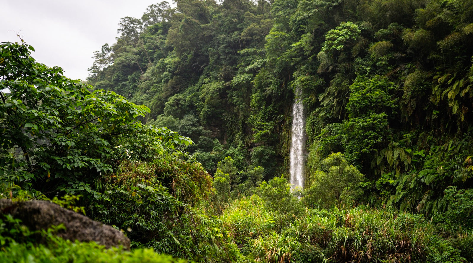 {TAIWAN} THE MAGIC OF CENTRAL TAIWAN - LOTUSWEI